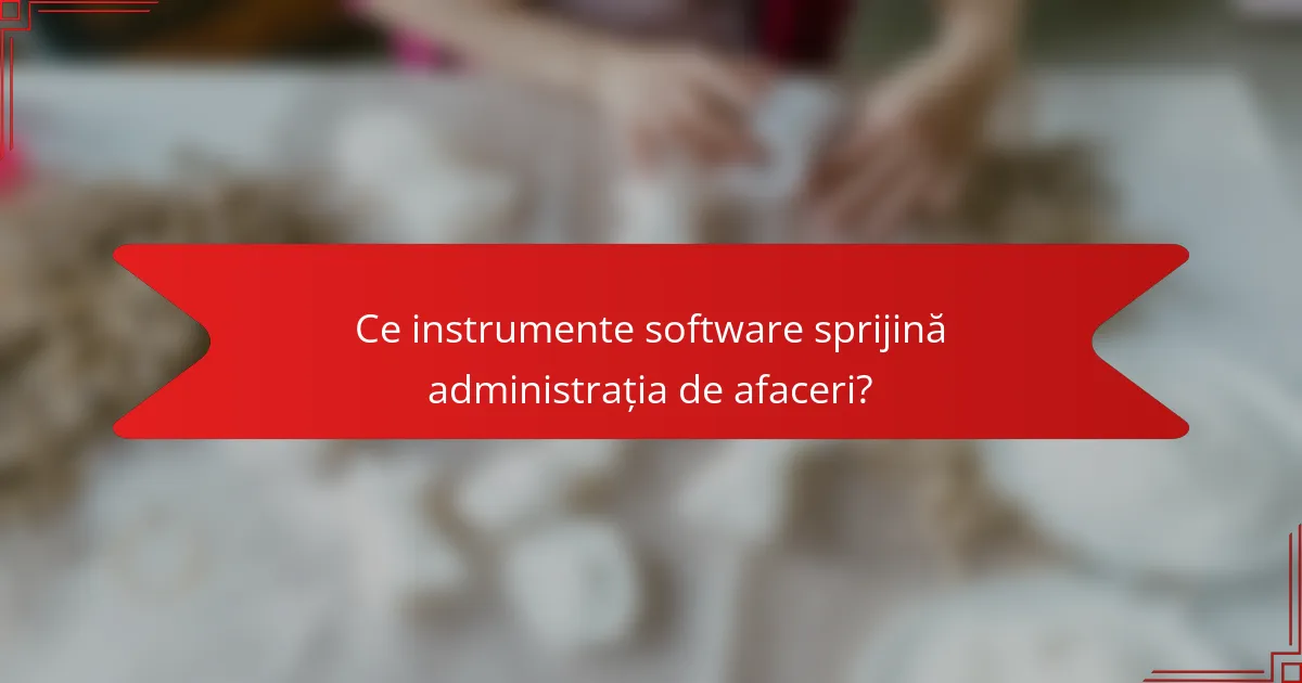 Ce instrumente software sprijină administrația de afaceri?